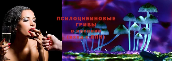 Альфа ПВП Алексин