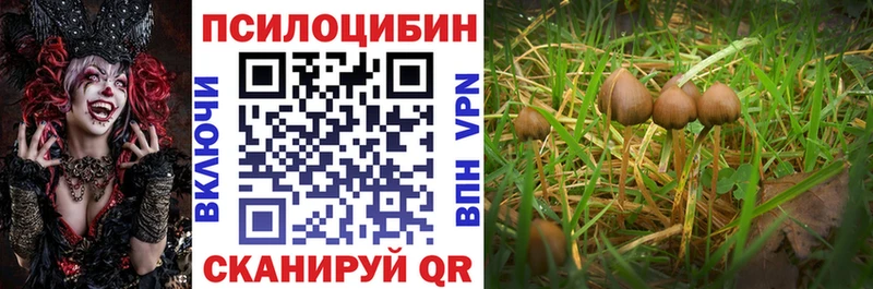 Галлюциногенные грибы Psilocybine cubensis Мураши
